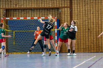 Bild 66 - Frauen HSG Kremperheide/Muensterdorf - HFF Munkbarup : Ergebnis: 28:27